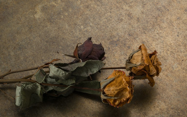 floral arrangement with dried flowers