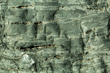 Текстура камня