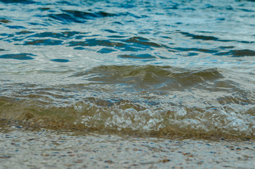 beach with sand near the water, on the shore of the lake