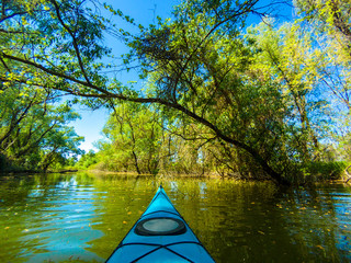View from the bow of blue kayak on riverbank with green trees on sunny spring day. Kayaking in wildlife