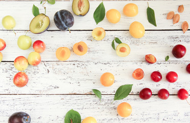 Wildpflaumen verschiedene Sorten Wildfrüchte Pflaumen Zwetschen Kirschpflaumen Wildobst Wild Obst 