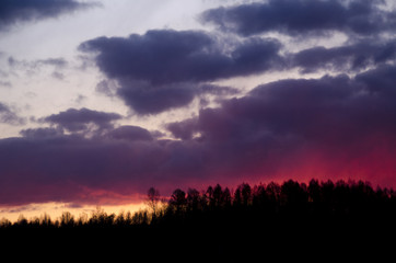 Summer colorful sunset.