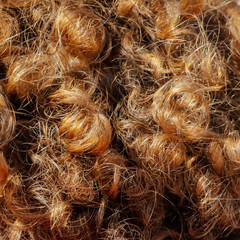 Curly hair on the head as a background