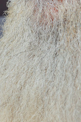 The gray beard of a man as a background