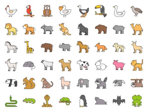 Big set of safari, arctic, forest animal and bird such as tiger, seal, camel, sloth, kangaroo, frog, pelican, parrot, toucan icon, filled outline icon