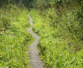 ABSTRACTION - ways and roads