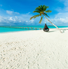 tropical beach in Maldives with few palm trees and blue lagoon