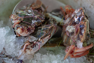 Image of crabs sold in the market, Thailand