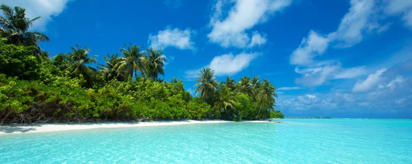 Photo sur Plexiglas Plage tropicale plage tropicale aux Maldives