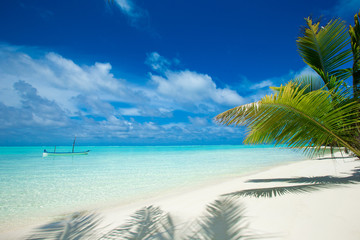 Plakat tropical beach in Maldives with few palm trees and blue lagoon