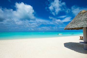 tropical beach in Maldives