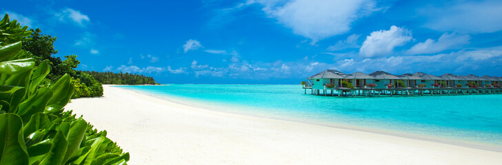 tropical beach in Maldives with few palm trees and blue lagoon - obrazy, fototapety, plakaty