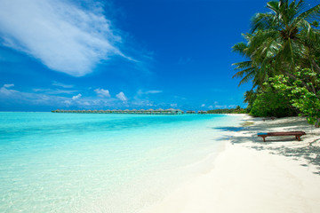 tropical beach in Maldives - obrazy, fototapety, plakaty