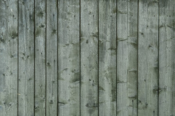 Obraz premium old wooden green texture background, close up