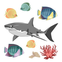 Set of vector images of a shark with fishes.