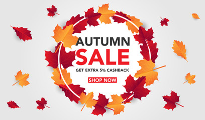 Autumn sale banner template with leaves, fall leaves for shopping sale. banner design. Poster, card, label, web banner. Vector illustration