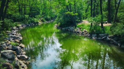 Fototapeta premium Green River