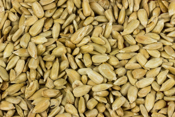 sunflower nuts. Salty food background texture