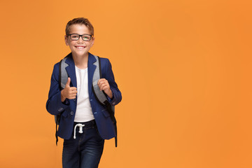 Little school boy with backpack smiling.