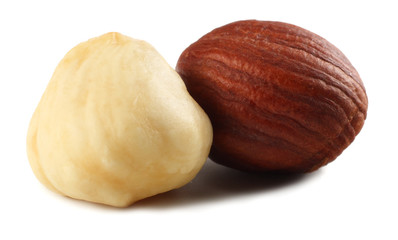 two hazelnuts isolated on a white background. macro