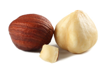 two hazelnuts isolated on a white background. macro