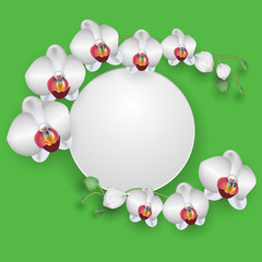 Blossoming white orchids and round frame for text