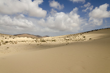 Sand dunes on Sotavento beach, Fuereventura, Canary Islands with picturesque clouds in the sky