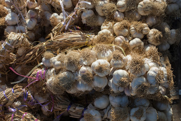 Bunch of garlic bulbs at the bazaar