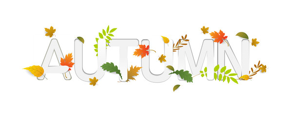 Hello Autumn boder, Banner with paper cut text and leaves