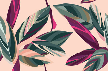 Leaves of Cordelia on a pink background. Floral seamless pattern. - obrazy, fototapety, plakaty