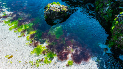 The seaside of Jeju island 