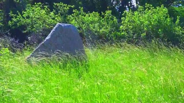 rune stone on a windyday