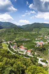 Landscape of Wachau valley and little town Spitz. Austria.