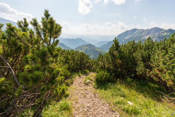 Fototapeta premium Kaiserbachtal Weg zum Stripsenjochhaus