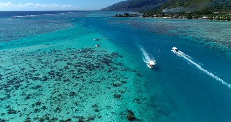 Fototapeta na wymiar boats in a lagoon in French Polynesia, in aerial view