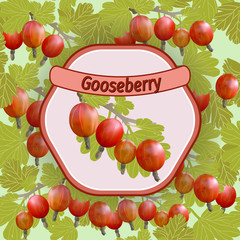 Vector gooseberry label