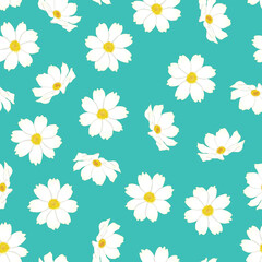 White Cosmos Flower on Blue Mint Background