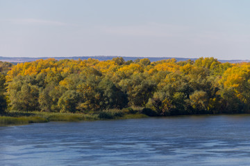 Colorful autumn trees on the riverfront.