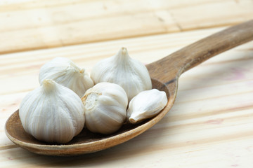 Garlic in wood table