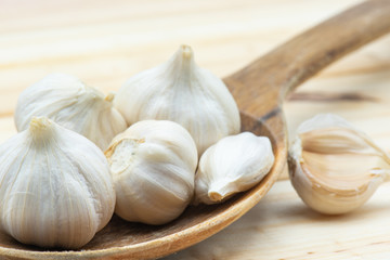 Garlic in wood table