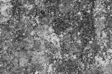 Obraz premium Abstract dirty cement wall with mud, art of wall with black and white