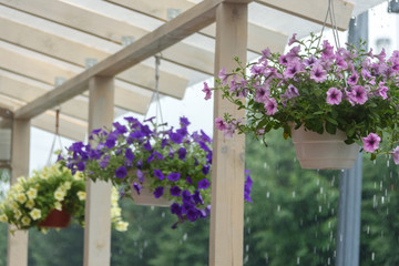 Rain drips down from the roof of a summer cafe