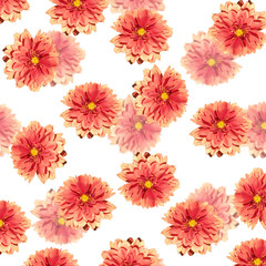 Beautiful floral background of dahlias 