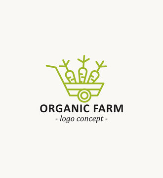 Organic farm. Cart with carrots