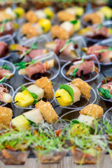 Tasty snacks with cheese and fish on the buffet table