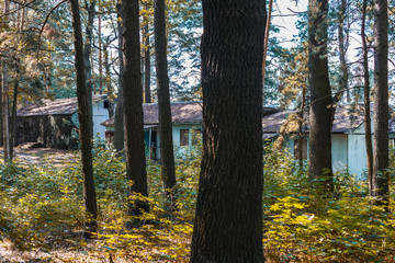 Fototapeta premium architecture