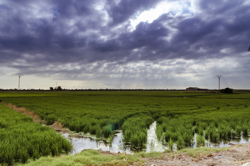 Port of Catarroja link with Albufera