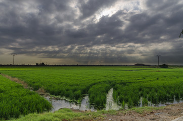 Port of Catarroja link with Albufera