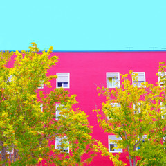 Plants on pink concept. Minimal Plant art. Colorful design