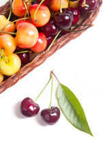 Yellow and red sweet cherry in basket with green leaf isolate on white.